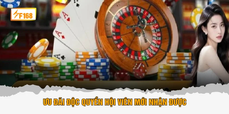 Ưu đãi độc quyền hội viên mới nhận được